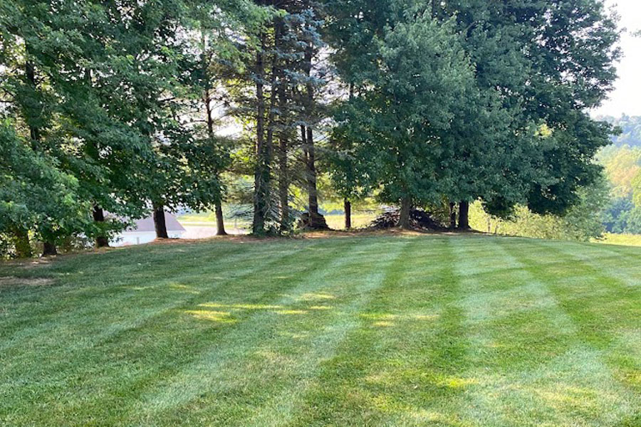 FinScape Services LLC - Commercial Lawncare Maintenance