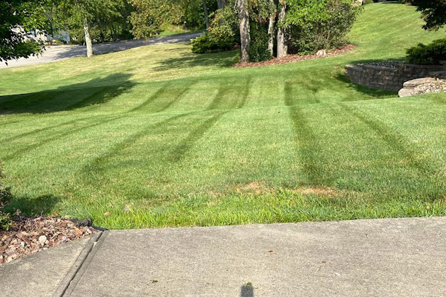 FinScape Services LLC - Commercial Mowing