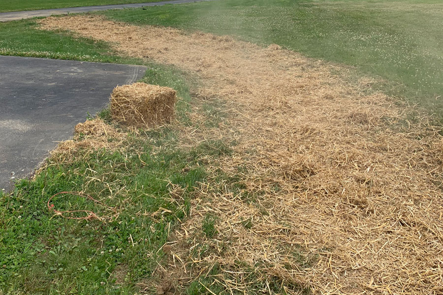 FinScape Services LLC - Lawn Growth including Seed, Straw & Fertilization